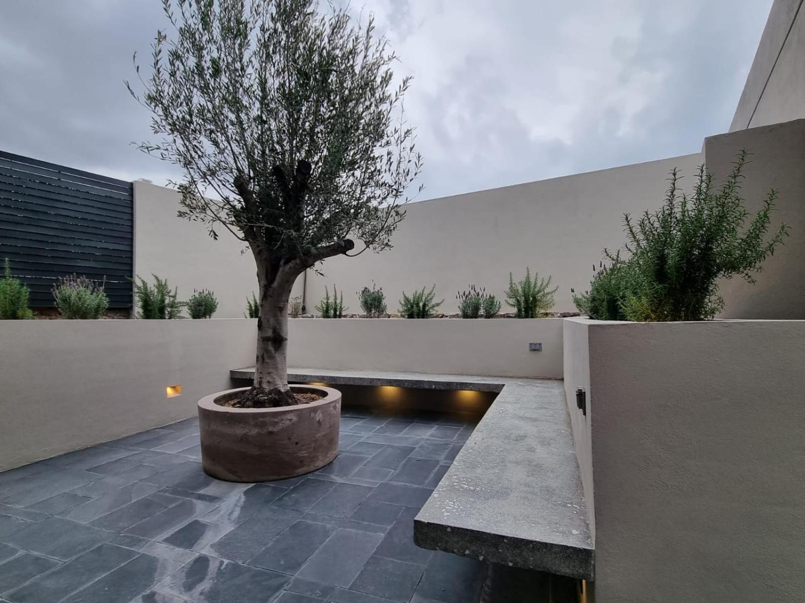 Casa Origenes Hotel San Miguel de Allende Eksteriør billede